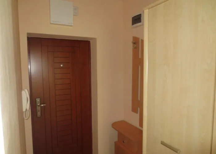 Mihaela בורגאס